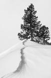 About the snow and forms-Rodrigo Núñez Buj-Photographic Print