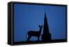 Roe Deer (Capreolus Capreolus) Buck Silhouette with Church Spire, Berkshire, England, UK, November-Bertie Gregory-Framed Stretched Canvas