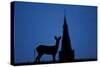 Roe Deer (Capreolus Capreolus) Buck Silhouette with Church Spire, Berkshire, England, UK, November-Bertie Gregory-Stretched Canvas