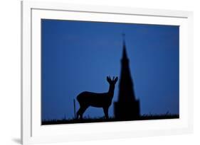 Roe Deer (Capreolus Capreolus) Buck Silhouette with Church Spire, Berkshire, England, UK, November-Bertie Gregory-Framed Photographic Print