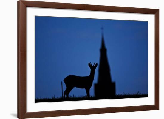 Roe Deer (Capreolus Capreolus) Buck Silhouette with Church Spire, Berkshire, England, UK, November-Bertie Gregory-Framed Photographic Print