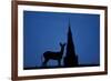 Roe Deer (Capreolus Capreolus) Buck Silhouette with Church Spire, Berkshire, England, UK, November-Bertie Gregory-Framed Photographic Print