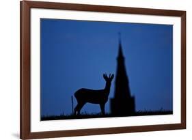 Roe Deer (Capreolus Capreolus) Buck Silhouette with Church Spire, Berkshire, England, UK, November-Bertie Gregory-Framed Photographic Print