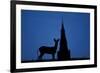 Roe Deer (Capreolus Capreolus) Buck Silhouette with Church Spire, Berkshire, England, UK, November-Bertie Gregory-Framed Photographic Print