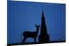 Roe Deer (Capreolus Capreolus) Buck Silhouette with Church Spire, Berkshire, England, UK, November-Bertie Gregory-Mounted Photographic Print