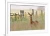 Roe Deer (Capreolus Capreolus) Doe in a Field of Set Aside at Dawn. Perthshire, Scotland, June-Fergus Gill-Framed Photographic Print