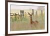 Roe Deer (Capreolus Capreolus) Doe in a Field of Set Aside at Dawn. Perthshire, Scotland, June-Fergus Gill-Framed Photographic Print