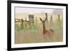 Roe Deer (Capreolus Capreolus) Doe in a Field of Set Aside at Dawn. Perthshire, Scotland, June-Fergus Gill-Framed Photographic Print