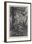 Roe Deer Shooting in Austria-Richard Caton Woodville II-Framed Giclee Print