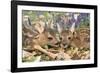 Roe Deer Two Young-null-Framed Photographic Print