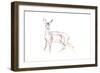 Roe Deer Young, 2021 (crayon on paper)-David Mayer-Framed Giclee Print