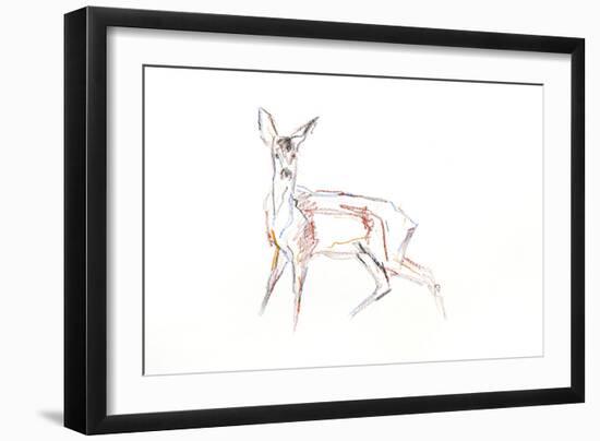 Roe Deer Young, 2021 (crayon on paper)-David Mayer-Framed Giclee Print