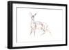 Roe Deer Young, 2021 (crayon on paper)-David Mayer-Framed Giclee Print