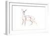 Roe Deer Young, 2021 (crayon on paper)-David Mayer-Framed Giclee Print