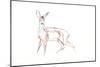 Roe Deer Young, 2021 (crayon on paper)-David Mayer-Mounted Giclee Print