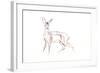 Roe Deer Young, 2021 (crayon on paper)-David Mayer-Framed Giclee Print