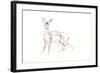 Roe Deer Young, 2021 (crayon on paper)-David Mayer-Framed Giclee Print