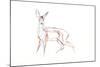 Roe Deer Young, 2021 (crayon on paper)-David Mayer-Mounted Giclee Print