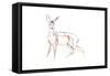 Roe Deer Young, 2021 (crayon on paper)-David Mayer-Framed Stretched Canvas