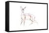 Roe Deer Young, 2021 (crayon on paper)-David Mayer-Framed Stretched Canvas