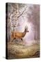 Roe-Deer-Carl Donner-Stretched Canvas