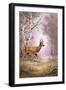 Roe-Deer-Carl Donner-Framed Giclee Print