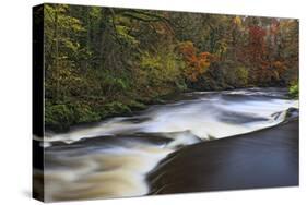 Roe Valley, County Londonderry, Ulster, Northern Ireland, United Kingdom, Europe-Carsten Krieger-Stretched Canvas