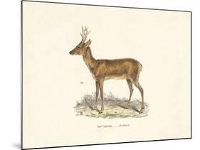 Roebuck Study-19th Century English School-Mounted Giclee Print