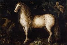 The Dapple Grey, C. 1625-1630-Roelant Savery-Premium Giclee Print