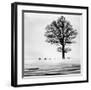 Roes-null-Framed Giclee Print