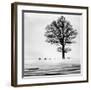 Roes-null-Framed Giclee Print