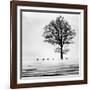 Roes-null-Framed Giclee Print