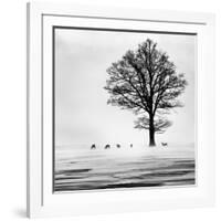 Roes-null-Framed Giclee Print