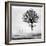 Roes-Dansiga-Framed Photographic Print