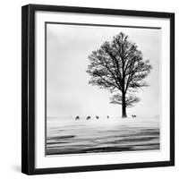 Roes-Dansiga-Framed Photographic Print