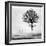 Roes-Dansiga-Framed Photographic Print