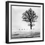 Roes-Dansiga-Framed Photographic Print