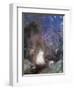 Roger and Angelica-Odilon Redon-Framed Giclee Print