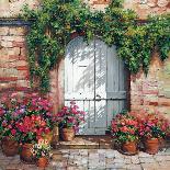 Wooden Doorway, Siena-Roger Duvall-Art Print