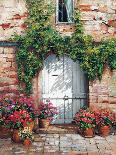 Courtyard in Provence-Roger Duvall-Art Print