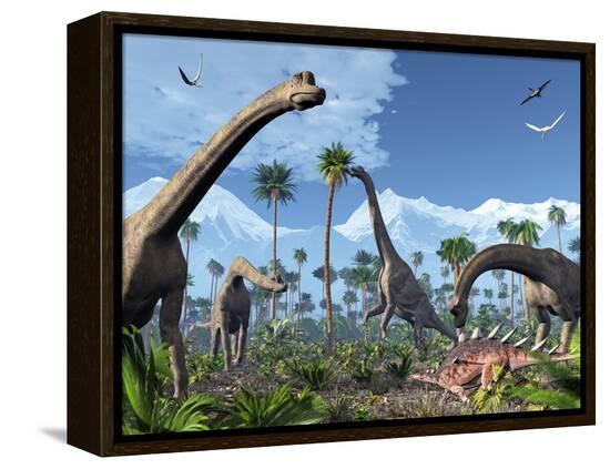 Stretched Canvas Print, , large