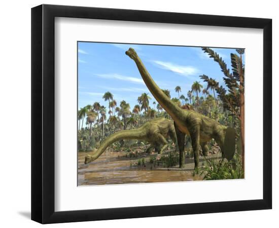 Premium Photographic Print, , large