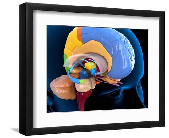 Premium Photographic Print, , large