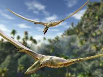 Pterosaurs Flying, Computer Artwork-Roger Harris-Photographic Print