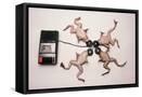 Framed Canvas