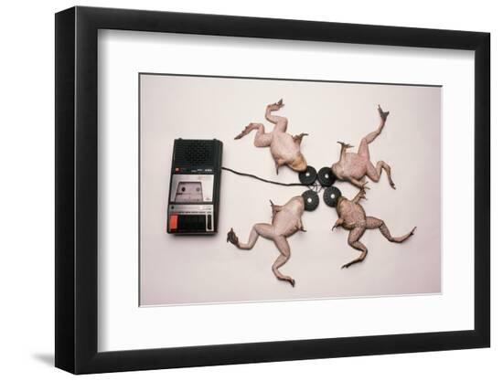 Premium Photographic Print, , large