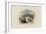 Rogers's Poems 1835 Watercolours, Venice (The Rialto - Moonlight)-J. M. W. Turner-Framed Giclee Print