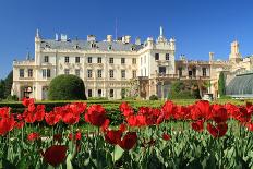 Tulips in Front of Lednice Castle-rogit-Photographic Print