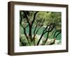 Rogue River, BLM Medford District, Siskiyou Mountains, Oregon, USA-Jerry & Marcy Monkman-Framed Photographic Print