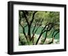 Rogue River, BLM Medford District, Siskiyou Mountains, Oregon, USA-Jerry & Marcy Monkman-Framed Photographic Print